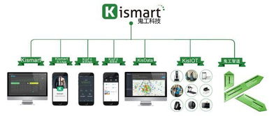 2018年上海市健身俱樂部數(shù)據(jù)報(bào)告 信息技術(shù)驅(qū)動行業(yè)變革與未來展望